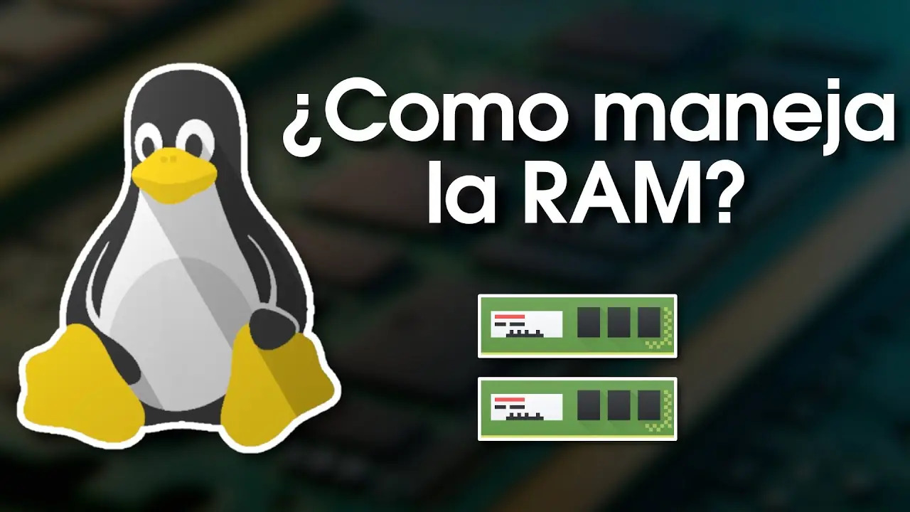 ¿Cómo funciona la RAM en Linux?