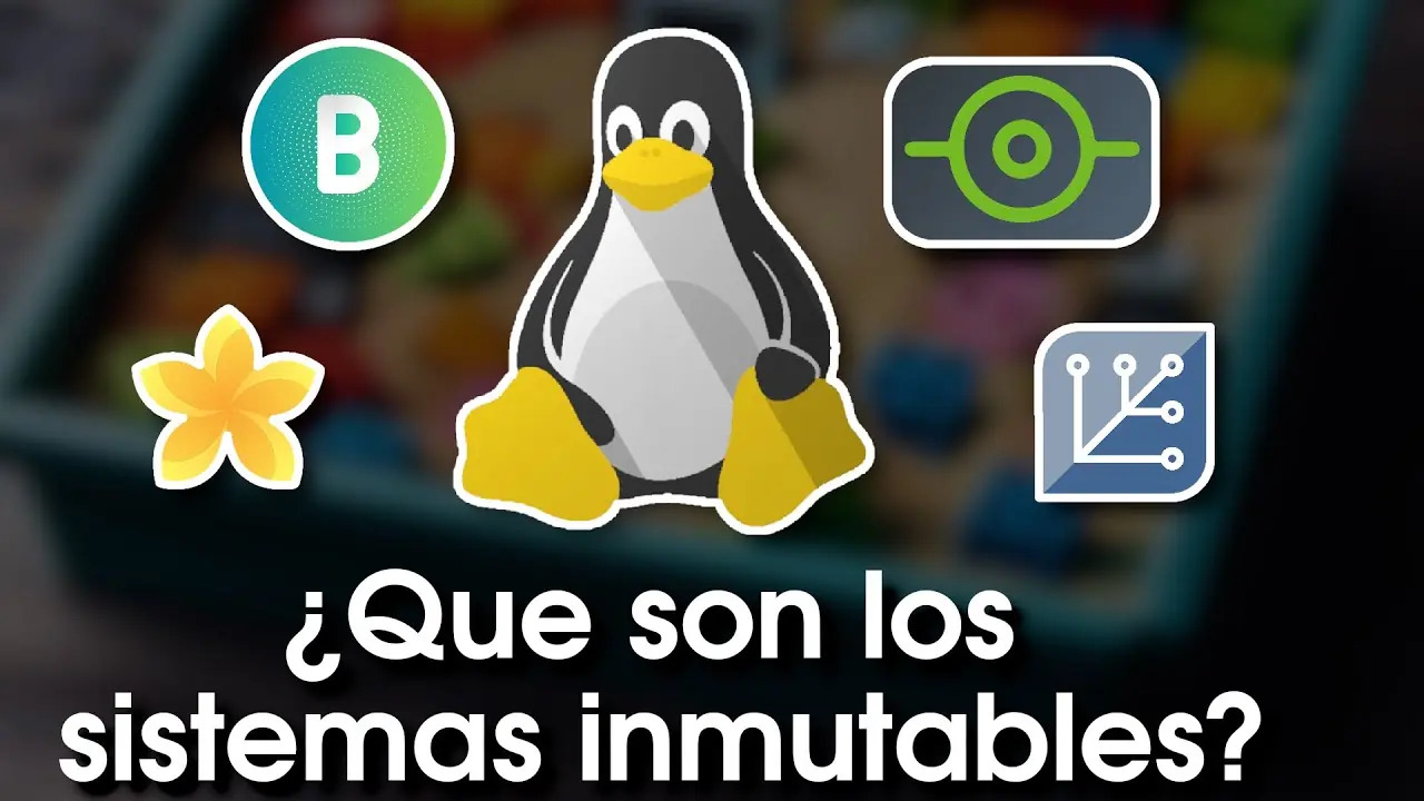 ¿Qué son los sistemas inmutables y cómo funcionan?